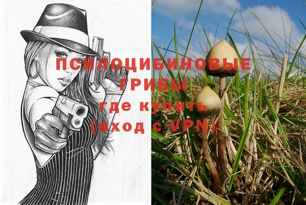 2c-b Абаза